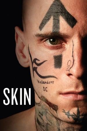 Skin streaming