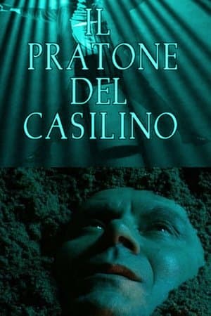 The field of Casilino streaming