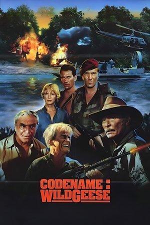 Code Name: Wild Geese streaming