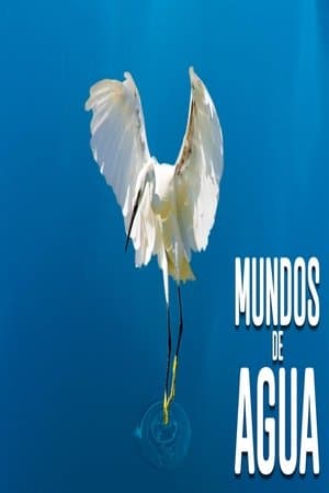 Mundos de agua streaming