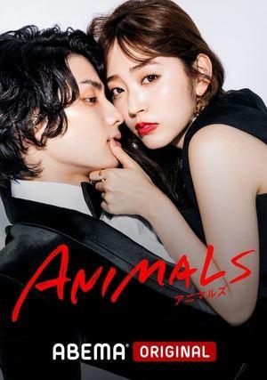 ANIMALS streaming