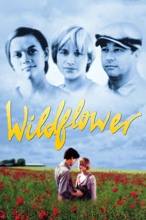 Wildflower streaming