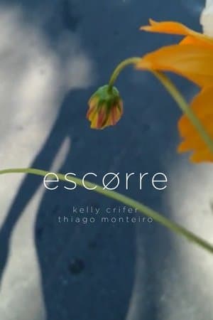 Escorre streaming