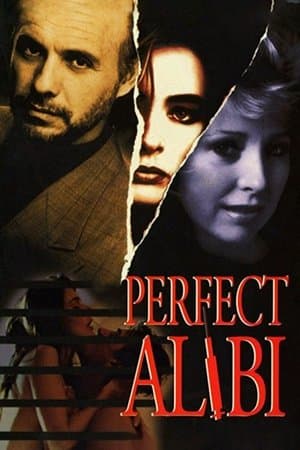 Perfect Alibi streaming