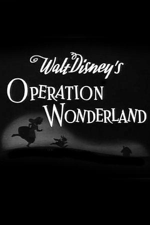 Operation Wonderland streaming
