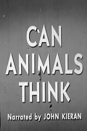 Can Animals Think streaming