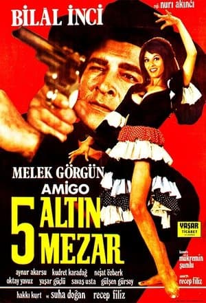 Hey Amigo: Beş Altın Mezar streaming