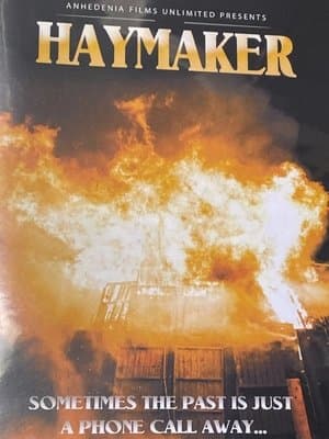 Haymaker streaming