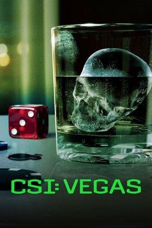 CSI: Vegas streaming