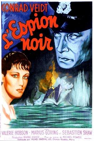 L'Espion noir streaming