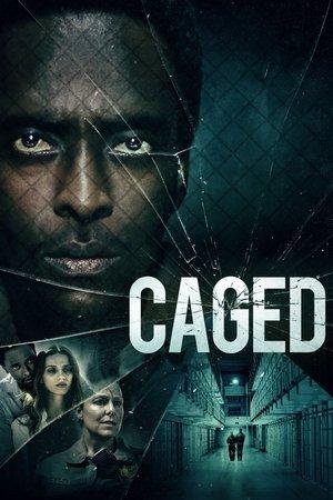 Caged streaming