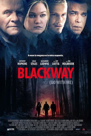 Blackway (Go with Me) streaming