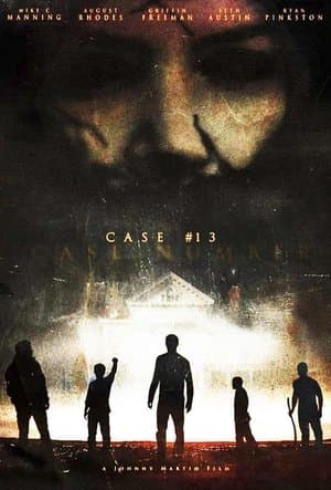 Case#13 streaming