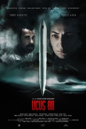 Uçuş 811 streaming