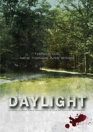 Daylight streaming