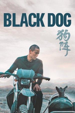 Black Dog streaming