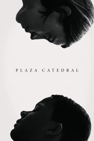 Plaza Catedral streaming