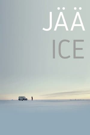 Ice streaming