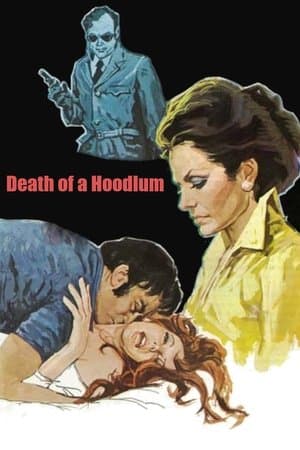 Death of a Hoodlum streaming