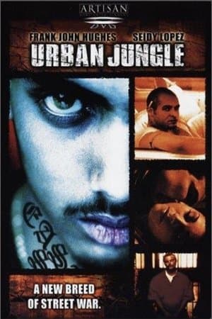 Blink of an Eye streaming