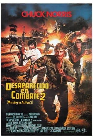 Desaparecido en combate 2 streaming