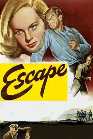 Escape streaming