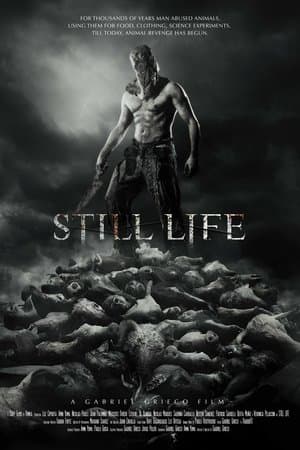 Still Life streaming
