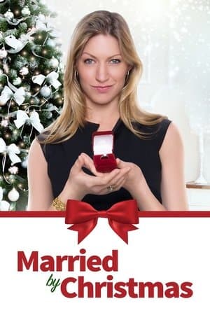 Un Mari avant Noël streaming