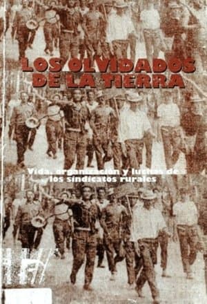 Los olvidados de la tierra streaming