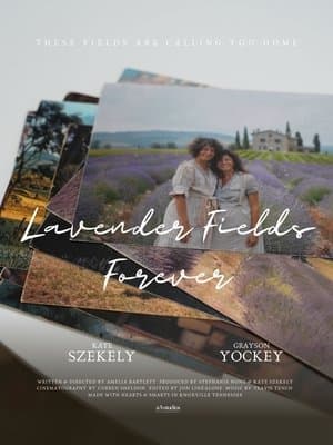 Lavender Fields Forever streaming