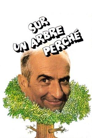 Sur un arbre perché streaming