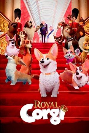 Royal Corgi streaming