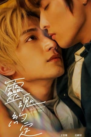 靈魂約定 streaming