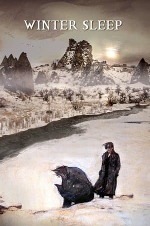 Winter Sleep streaming