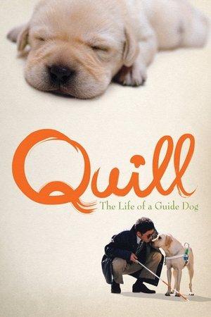 Quill: The Life of a Guide Dog streaming