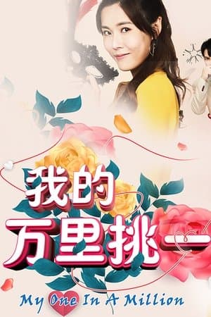 我的万里挑一 streaming