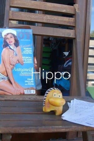 Hippo streaming