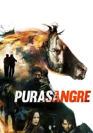 Purasangre streaming