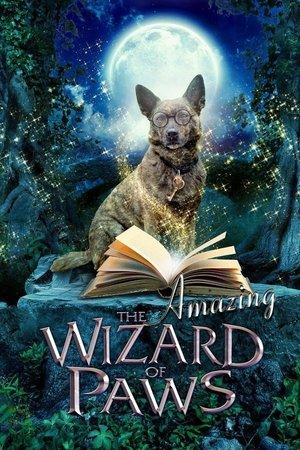 The Amazing Wizard of Paws streaming
