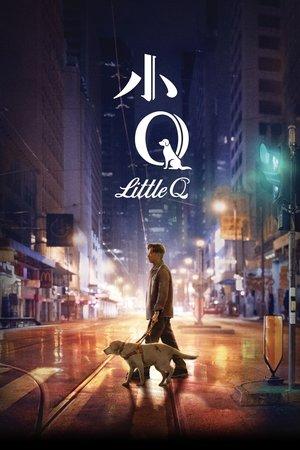 Little Q streaming