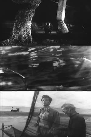 Những Ngôi Sao Biển streaming