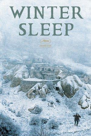 Winter Sleep streaming