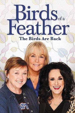 Birds of a Feather streaming