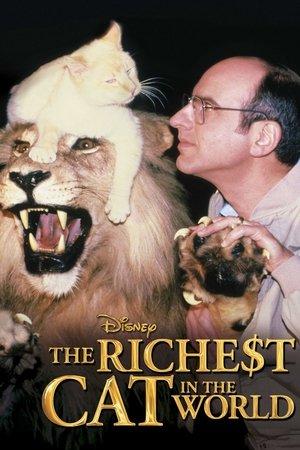 The Richest Cat in the World streaming