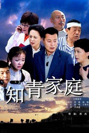 知青家庭 streaming