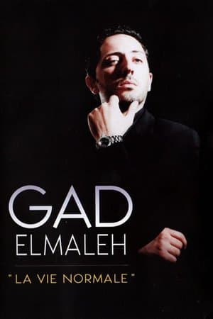 Gad Elmaleh - La Vie normale streaming