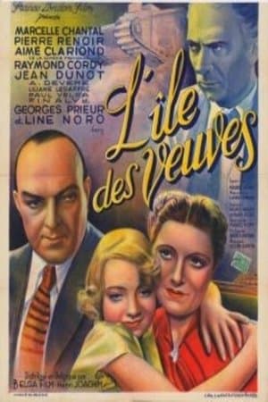 L'Île des veuves streaming