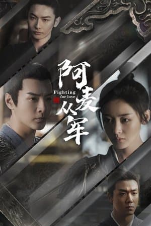 阿麦从军 streaming