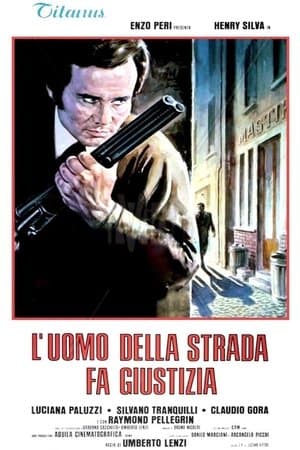 L'uomo della strada fa giustizia streaming