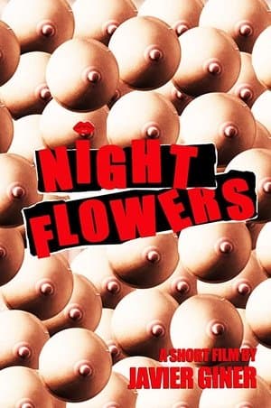 Night Flowers streaming